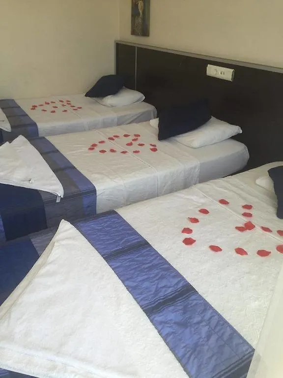 Aristo Hotel Didim 3*,